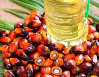 Світові ціни на пальмову олію у травні знизились
